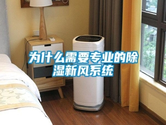 知识百科为什么需要专业的除湿新风系统