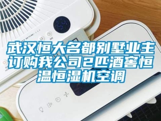 知识百科武汉恒大名都别墅业主订购我公司2匹酒窖恒温恒湿机空调