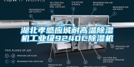 湖北孝感应城耐高温除湿机工业级9240C除湿机