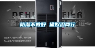 防潮不做好 猫奴泪两行