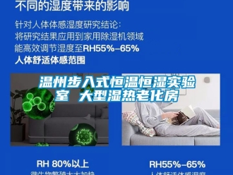 知识百科温州步入式恒温恒湿实验室 大型湿热老化房