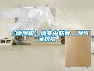 企业新闻【除湿机】清寒中筋骨，湿气薄衣襟