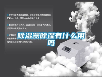 行业新闻除湿器除湿有什么用吗