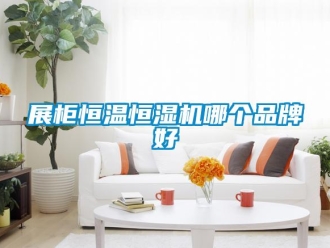 知识百科展柜恒温恒湿机哪个品牌好