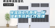 除湿器工作原理—除湿机系统的工作原理