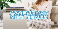 广东高低温湿热交变试验箱 恒温恒湿箱