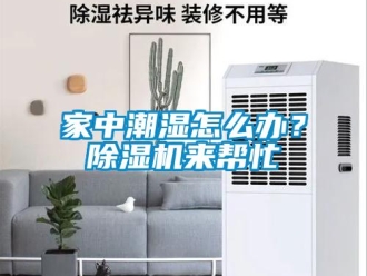 行业新闻家中潮湿怎么办？除湿机来帮忙