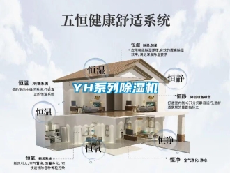 企业新闻YH系列除湿机