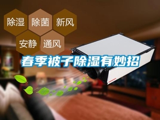 企业新闻春季被子除湿有妙招