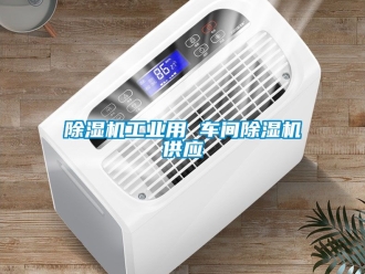 常见问题除湿机工业用 车间除湿机供应