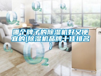 企业新闻哪个牌子的除湿机好又便宜的(除湿机品牌十佳排名)