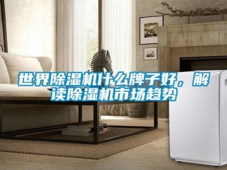 行业新闻世界除湿机什么牌子好，解读除湿机市场趋势
