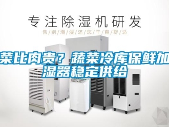 企业新闻菜比肉贵？蔬菜冷库保鲜加湿器稳定供给