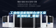 工业除湿机如何在地下室防潮除湿_重复