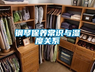 企业新闻钢琴保养常识与湿度关系