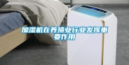 加湿机在养殖业行业发挥重要作用