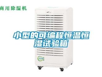 知识百科小型的可编程恒温恒湿试验箱