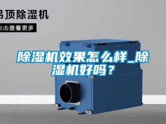 行业新闻除湿机效果怎么样_除湿机好吗？