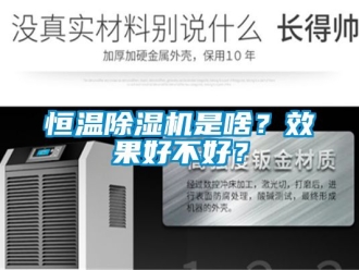 知识百科恒温除湿机是啥？效果好不好？