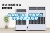草果烘干机 排湿快表皮不发黑品质好