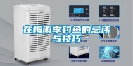 在梅雨季钓鱼的忌讳与技巧