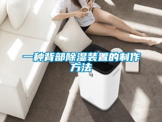 行业新闻一种背部除湿装置的制作方法