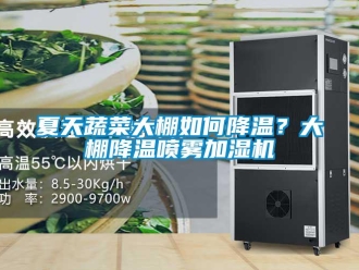 常见问题夏天蔬菜大棚如何降温？大棚降温喷雾加湿机