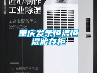 知识百科重庆发条恒温恒湿储存柜