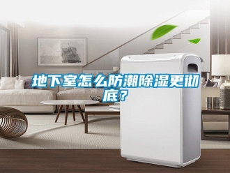 企业新闻地下室怎么防潮除湿更彻底？