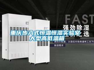 知识百科重庆步入式恒温恒湿实验室 大型高低温箱