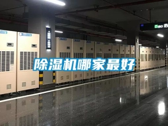 行业新闻除湿机哪家最好