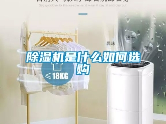 行业新闻除湿机是什么如何选购
