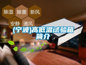 常见问题(宁波)高低温试验箱简介