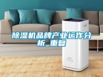 企业新闻除湿机品牌产业运作分析_重复