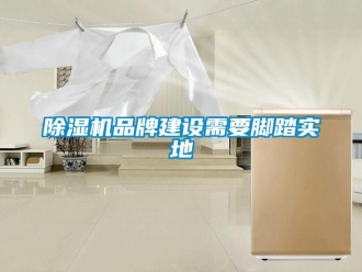 常见问题除湿机品牌建设需要脚踏实地