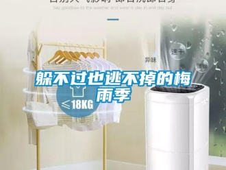 企业新闻躲不过也逃不掉的梅雨季