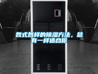 企业新闻各式各样的除湿方法，总有一样适合你