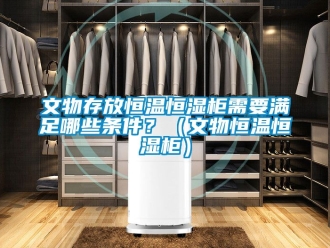 知识百科文物存放恒温恒湿柜需要满足哪些条件？（文物恒温恒湿柜）