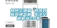 郑州空调箱 吊顶式新风换气机 专注空调机组20年