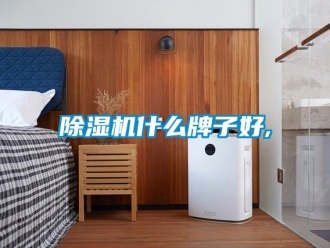 行业新闻除湿机什么牌子好,