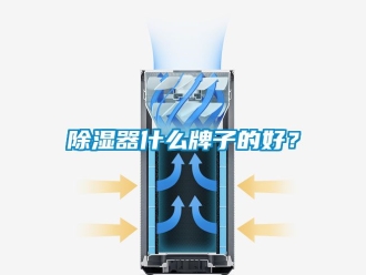 行业新闻除湿器什么牌子的好？