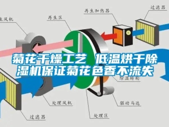 行业新闻菊花干燥工艺 低温烘干除湿机保证菊花色香不流失