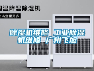 常见问题除湿机维修 工业除湿机维修 广州飞旭