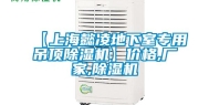 【上海懿凌地下室专用吊顶除湿机】价格,厂家,除湿机