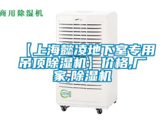 企业新闻【上海懿凌地下室专用吊顶除湿机】价格,厂家,除湿机