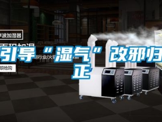 知识百科引导“湿气”改邪归正