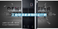 工业除湿机是如何运行的