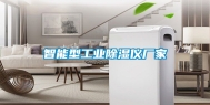 智能型工业除湿仪厂家