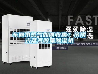 常见问题车间水蒸气如何收集？吊顶式蒸汽收集除湿机