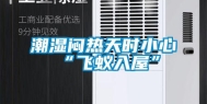 潮湿闷热天时小心“飞蚁入屋”